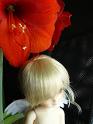 Fairy&Angel H